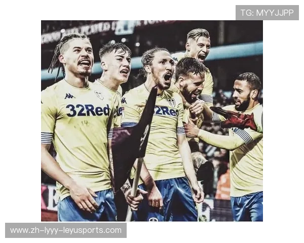 哪支英超球队归属于中国资本?中资影响力深度解读